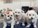 Negocio 4 Paws Only Groomed