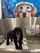 Negocio 4 Seasons Barks And Bubbles