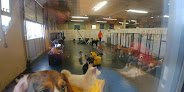 Negocio A Dog's Day Out