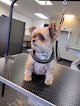 Negocio Alaska Pet Spa