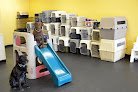 Negocio All About Dogs Grooming Salon & Daycare