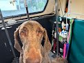 Negocio All Breed Mobile Grooming