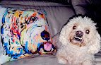 Negocio Allegro's Pet Spa
