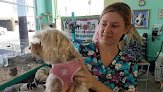 Negocio Aloha Dog Grooming