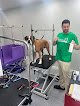 Negocio Andrew's Pet Services