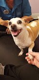 Negocio Animal Care Of Mobile County