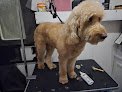 Negocio Au Naturel Mobile Dog Spa