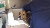 Negocio Aussie Pet Mobile Fresno