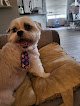 Negocio Bark And Bath Pet Grooming