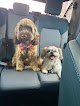 Negocio Bark Avenue Play And Spa