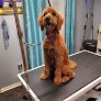 Negocio Bark In Time Paw Spa