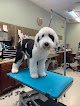 Negocio Bark-a-lounge Pet Salon