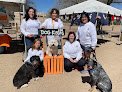 Negocio Bark 'n Bubble Salon, Day-camp, & Hotel