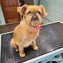 Negocio Barkhaven Llc