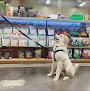 Negocio Barking Dogs