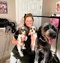 Negocio Barks & Bubbles Pet Grooming Stratford