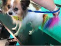 Negocio Barks N’ Bubbles Pet Grooming Llc