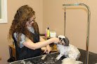 Negocio Bella & Bows Pet Salon West