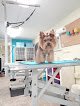 Negocio Bessie's Pet Grooming