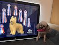 Negocio Best In Show Dog Grooming
