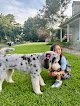 Negocio Beverly's Grooming & Boarding
