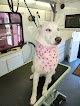 Negocio Big & Bella's Mobile Pet Grooming