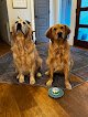 Negocio Big Paws Llc