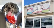 Negocio Boga Pet Salon