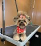 Negocio Bow Wow Dog Spa