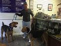 Negocio Bratdogz Pet Spa - Oregon City Pet Grooming