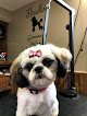 Negocio Breedlove Grooming Salon & Spa