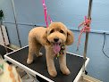 Negocio Bree's Pet Grooming