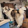 Negocio Brigitte's Dog Grooming