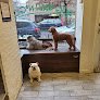 Negocio Brooklyn Pet Spa
