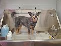 Negocio Bubbles And Barks Dog Grooming