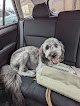 Negocio Bubbles And Barks Dog Salon