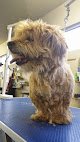 Negocio Bubbles And Bows Pet Spa