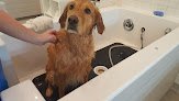 Negocio Bubbly Paws