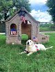 Negocio Buckaroos 360 Dog Care