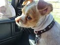 Negocio Campbell's Pet Grooming