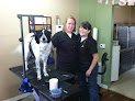 Negocio Canine Country Clips