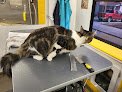 Negocio Cat Wash Center | Mobile Cat Grooming Specialists | Spokane Wa