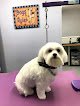Negocio Christy's Canine Grooming