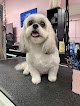 Negocio Cinderella's Pet Palace