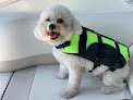 Negocio City Pet Grooming