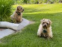 Negocio Class Act Pet Grooming