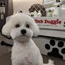 Negocio Club Doggie Mobile Grooming Salon