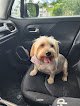 Negocio Colita Feliz Grooming