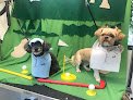 Negocio Companion Cut’s Mobile Grooming Salon