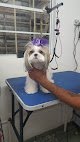Negocio Condado Grooming Salon & Pet Boutique